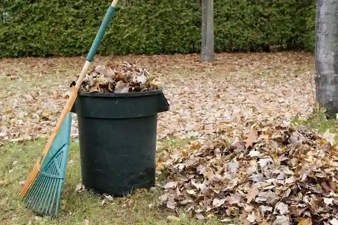 Yard Debris Removal Yard Debris Removal